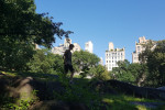 New York Central Park 1